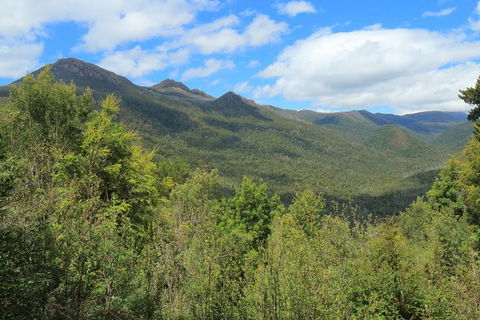 Lake St. Clair And Western Wilderness Active Day Trip From Hobart - Accommodation NT 13