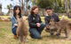Bonorong Wildlife Park And Richmond Afternoon Tour From Hobart - thumb 9