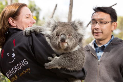 Bonorong Wildlife Park And Richmond Afternoon Tour From Hobart - Accommodation NT 7