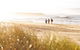 3-Day Small Group Bruny Island Guided Walk From Hobart - thumb 0
