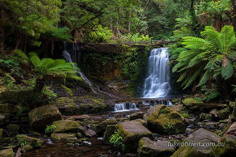 Mt Field And Styx Valley Photography Tour - Accommodation NT 3
