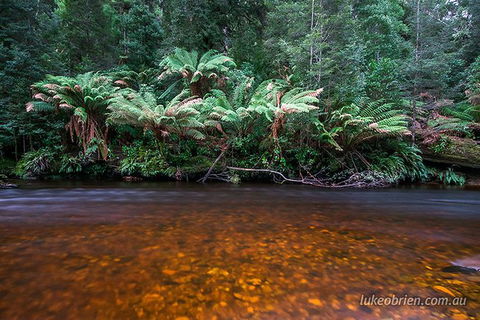 Mt Field And Styx Valley Photography Tour - Accommodation NT 7