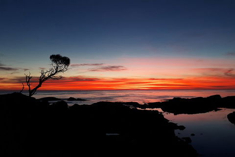 3-Day Bay Of Fires Photography Workshop From Hobart - Accommodation NT 5