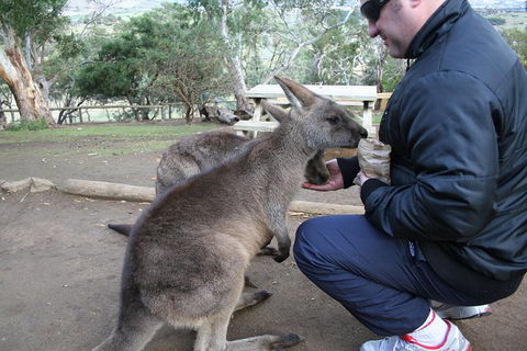 Small-group Tour From Hobart: Native Flora And Fauna, Incl. Royal Bot. Gardens - Accommodation NT 1