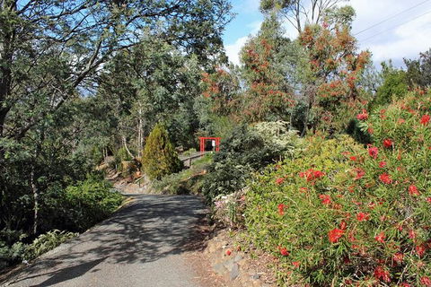 Small-group Tour From Hobart: Native Flora And Fauna, Incl. Royal Bot. Gardens - Accommodation NT 11