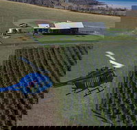 Bangor Vineyard Shed Helicopter Tour - Accommodation NT