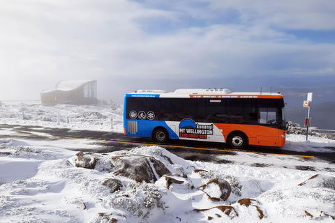 Kunany / Mt Wellington Explorer Bus - 2 Hour Return Tour - Accommodation NT 7