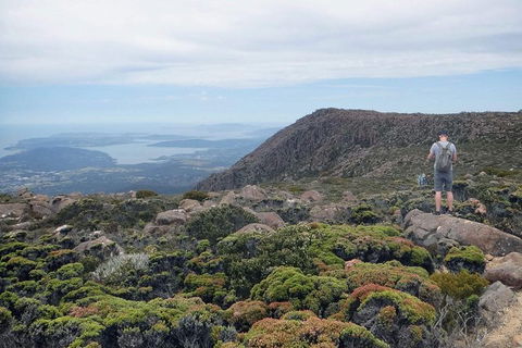 Kunany / Mt Wellington Explorer Bus - 2 Hour Return Tour - Accommodation NT 4