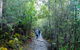 Kunany / Mt Wellington Explorer Bus - 2 Hour Return Tour - thumb 5
