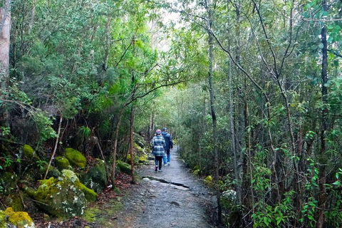 Kunany / Mt Wellington Explorer Bus - 2 Hour Return Tour - Accommodation NT 5