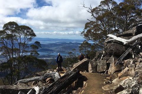 Kunany / Mt Wellington Explorer Bus - 2 Hour Return Tour - Accommodation NT 9