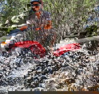 Quad Bike 2-Hour Adventure Freycinet National Park - Accommodation NT