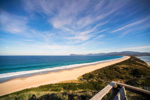 Private Bruny Island Food And Wine Day Trip From Hobart - Accommodation NT 1