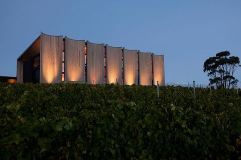 Moorilla Wine Meets Mona Art Day Trip - Accommodation NT 10