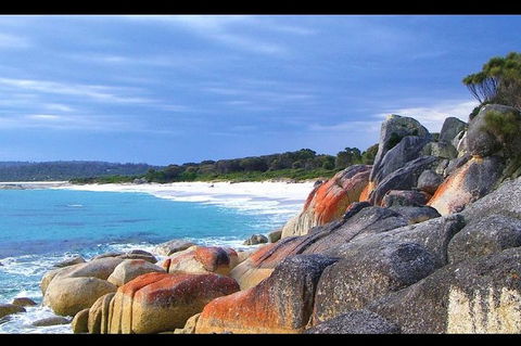 Bay Of Fires Day Trip From Launceston - Accommodation NT 0