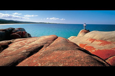 Bay Of Fires Day Trip From Launceston - Accommodation NT 1