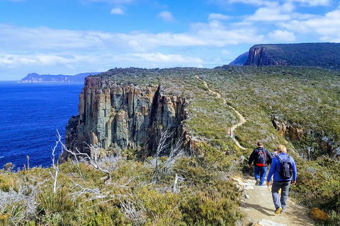 Cape Hauy Hiking Tour - Tasman National Park - Accommodation NT 0
