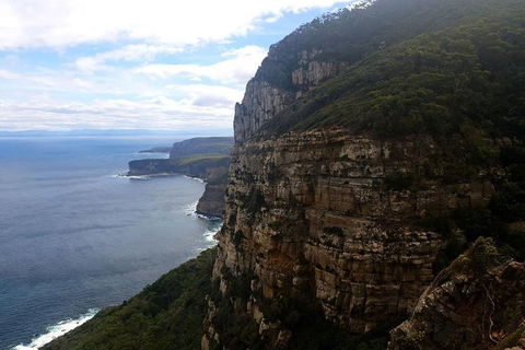 2-Day: Hobart Hiking Tour: Cape Raoul And Mount Field - Tarn Shelf - Accommodation NT 7