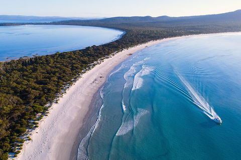 Maria Island Cruise + Walk. Renowned Day Tour With Drinks And Guided Walk - Accommodation NT 0