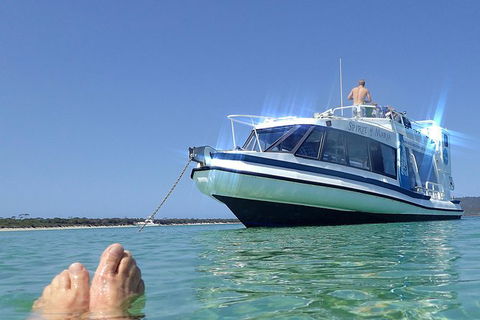 Maria Island Cruise + Walk. Renowned Day Tour With Drinks And Guided Walk - Accommodation NT 1
