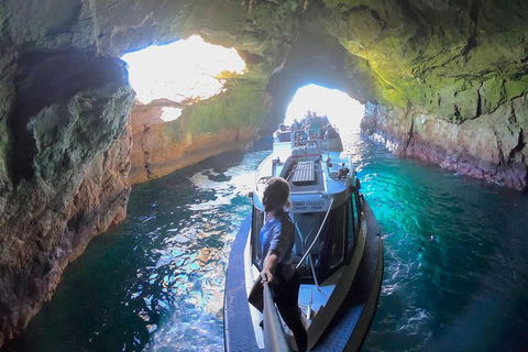 Maria Island Cruise + Walk. Renowned Day Tour With Drinks And Guided Walk - Accommodation NT 4