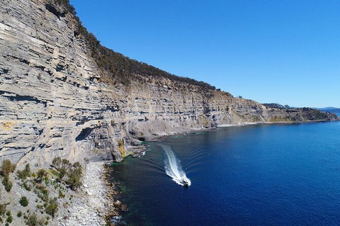 Maria Island Cruise + Walk. Renowned Day Tour With Drinks And Guided Walk - Accommodation NT 13
