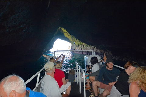 Maria Island Cruise + Walk. Renowned Day Tour With Drinks And Guided Walk - Accommodation NT 11