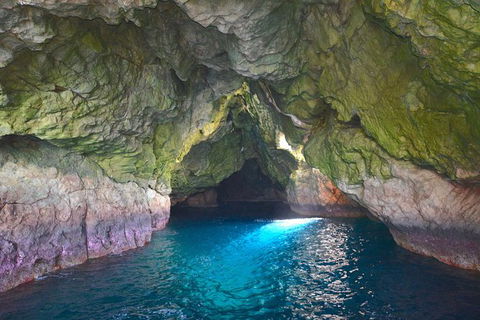 Maria Island Cruise + Walk. Renowned Day Tour With Drinks And Guided Walk - Accommodation NT 5