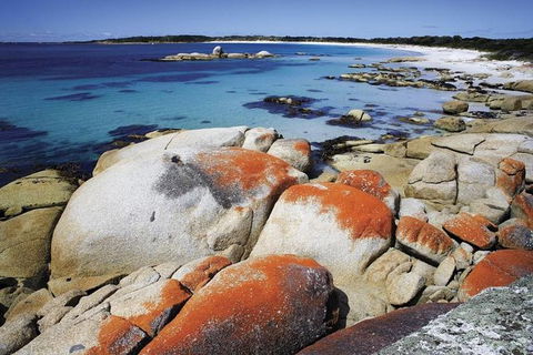 Highlights Of Tasmania 5-Day Small-Group Tour From Hobart - Accommodation NT 1