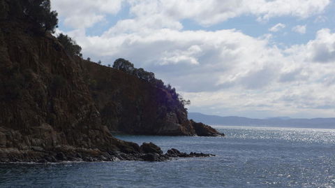 The Peppermint Bay Lunch Cruise From Hobart - Accommodation NT 3