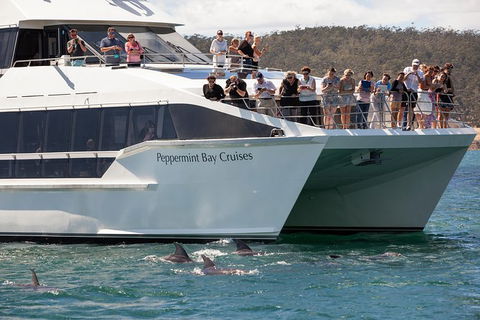 The Peppermint Bay Lunch Cruise From Hobart - Accommodation NT 0