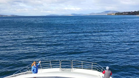 The Peppermint Bay Lunch Cruise From Hobart - Accommodation NT 2