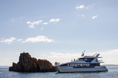 The Peppermint Bay Lunch Cruise From Hobart - Accommodation NT 1