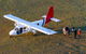 Wineglass Bay And Maria Island Wildlife Scenic Flight From Hobart - thumb 17