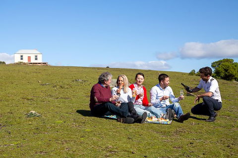 Wineglass Bay And Maria Island Wildlife Scenic Flight From Hobart - Accommodation NT 6