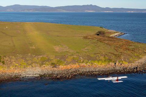 Wineglass Bay And Maria Island Wildlife Scenic Flight From Hobart - Accommodation NT 10