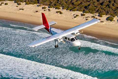 Wineglass Bay And Maria Island Wildlife Scenic Flight From Hobart - Accommodation NT 11