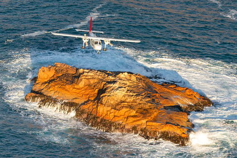 Wineglass Bay And Maria Island Wildlife Scenic Flight From Hobart - Accommodation NT 7