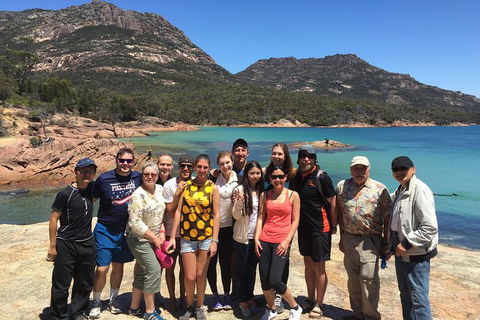 Active Day Tour One-Way From Hobart To Launceston With Wineglass Bay - Accommodation NT 10