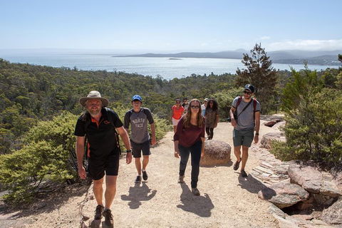 Active Day Tour One-Way From Hobart To Launceston With Wineglass Bay - Accommodation NT 3