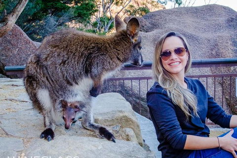 Full-Day Tour To Wineglass Bay From Hobart - Accommodation NT 9