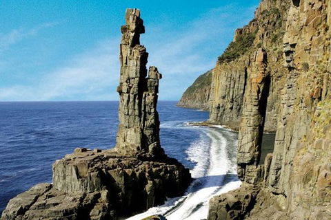 3-Hour Bruny Island Cruise From Adventure Bay - Accommodation NT 1