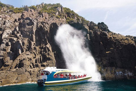 3-Hour Bruny Island Cruise From Adventure Bay - Accommodation NT 6