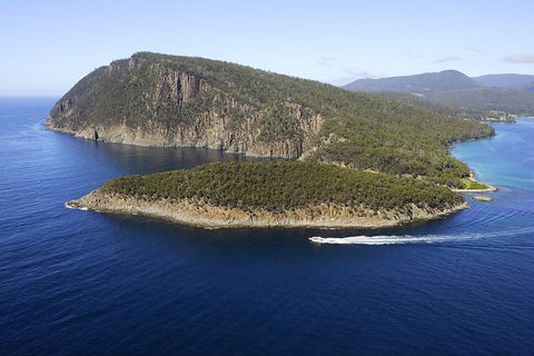 3-Hour Bruny Island Cruise From Adventure Bay - Accommodation NT 7