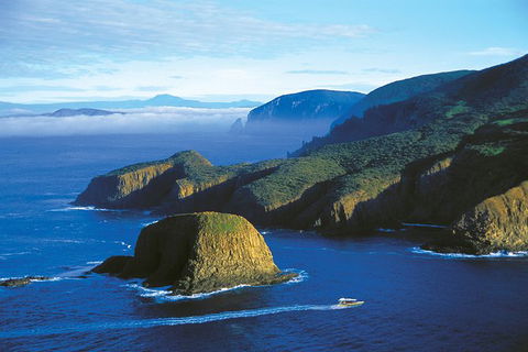 3-Hour Bruny Island Cruise From Adventure Bay - Accommodation NT 4