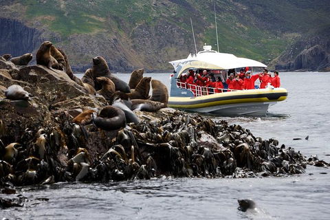 3-Hour Bruny Island Cruise From Adventure Bay - Accommodation NT 2