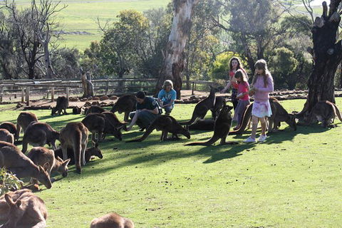 The Port Arthur MEGA Day Trip From Hobart - Accommodation NT 5