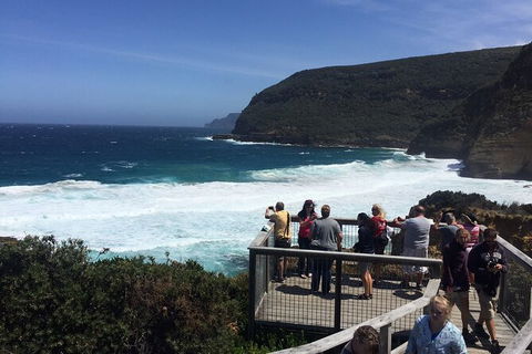The Port Arthur MEGA Day Trip From Hobart - Accommodation NT 4