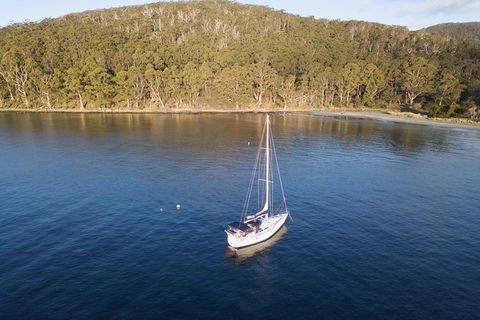 North Bruny Island Day Sail - Accommodation NT 8