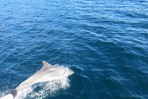 North Bruny Island Day Sail - Accommodation NT 3